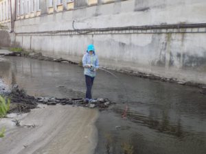 DSCN3710